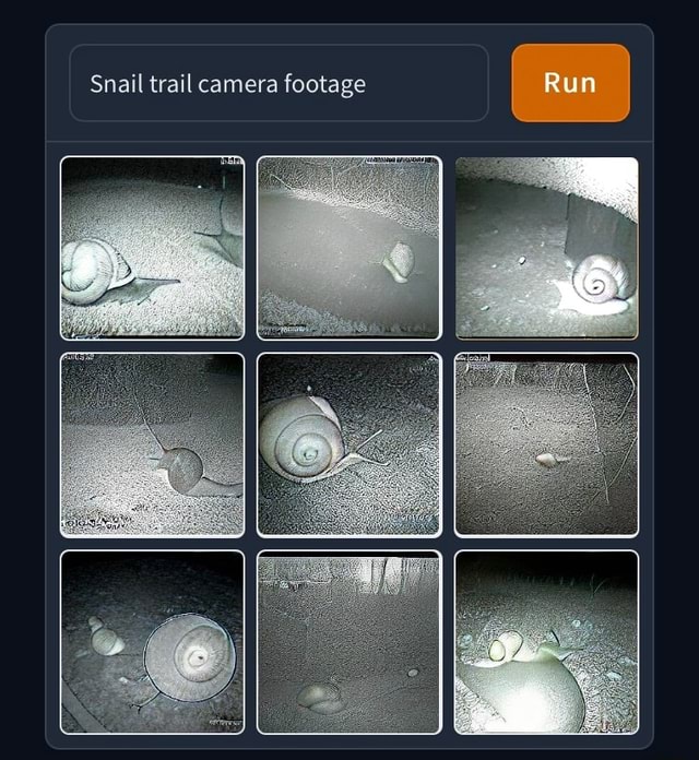 Snail trail camera footage Run iFunny