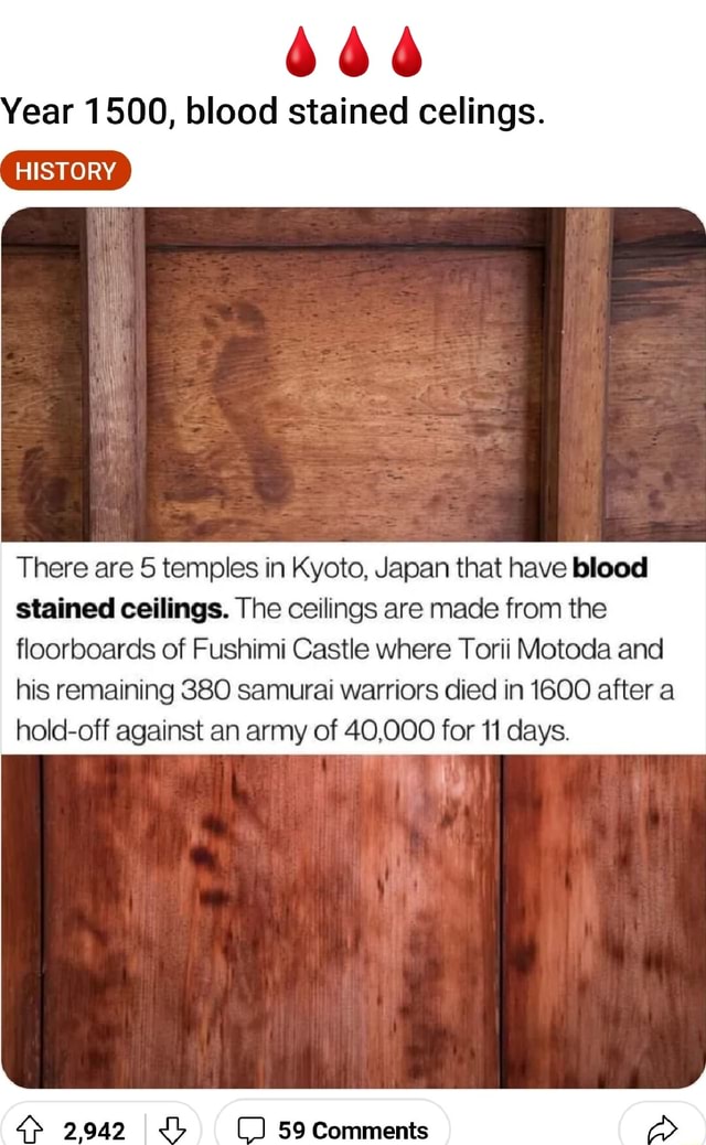 Ear 1500, blood stained celings. HISTORY There are 5 temples in Kyoto ...
