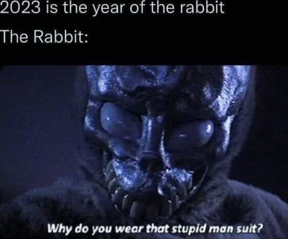 2023 is the year of the rabbit The Rabbit: Why do you wear that stupid ...