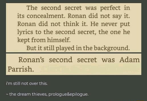 The Second Secret Was Perfect In Its Concealment Ronan Did Not Say It Ronan Did Not Think It He Never Put Lyrics To The Second Secret The One He Kept From Himself