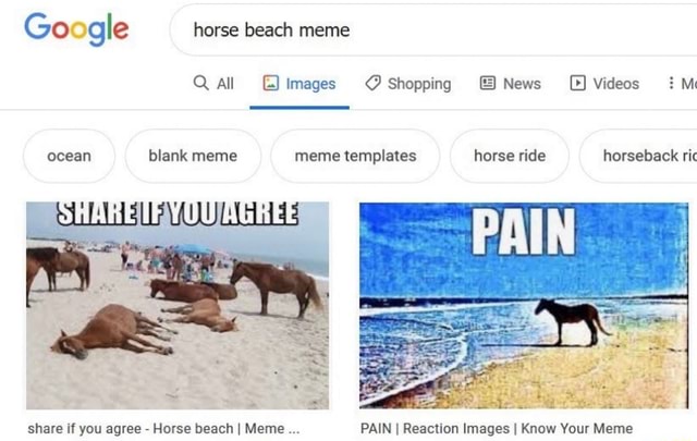 Ocean blank meme meme templates horse ride horseback ric share if you ...