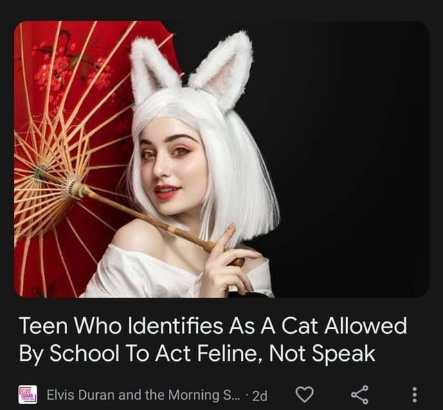 Teen Who Identifies As A Cat Allowed By School To Act Feline, Not Speak ...