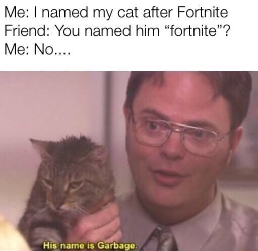 I Named My Cat After Fortnite Me I Named My Cat After Fortnite Friend You Named Him Fortnite Me No