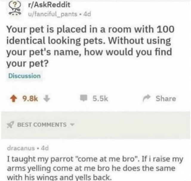 RR Your pet is placed in a room with 100 identical looking pets