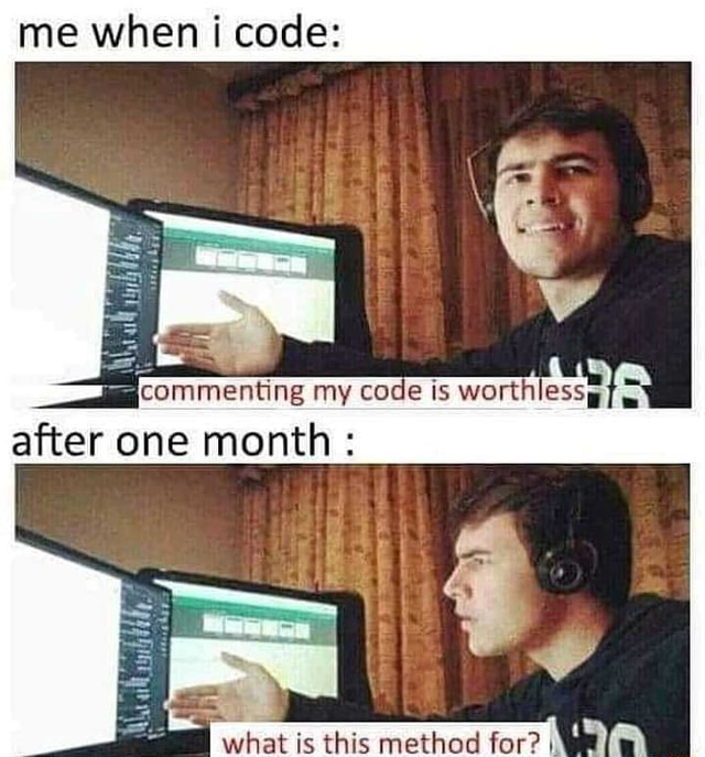Me when codes =commenting my code worth after one month - iFunny