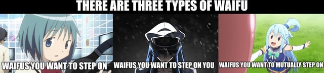 THERE ARE THREE TYPES OF WAIFU ANT TO WAIFUS YO You STERON YOU WAIFU ...