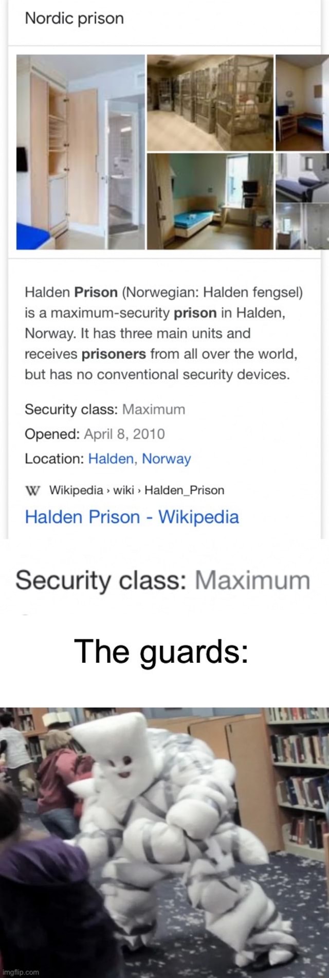 Nordic Prison Halden Prison (Norwegian: Halden Fengsel) Is A Maximum ...