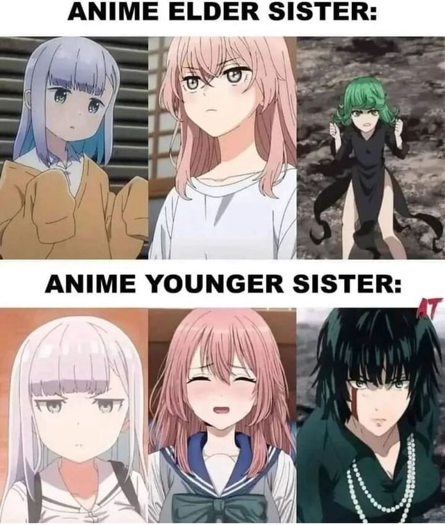 ANIME ELDER SISTER: ANIME YOUNGER SISTER: - iFunny - I Live With 5 Elder Sisters Book