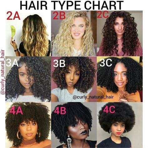 HAIR TYPE CHART - iFunny