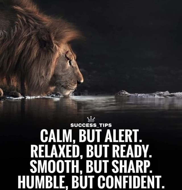 SUCCESS TIPS CALM, BUT ALERT. RELAXED, BUT READY. SMOOTH, BUT SHARP ...