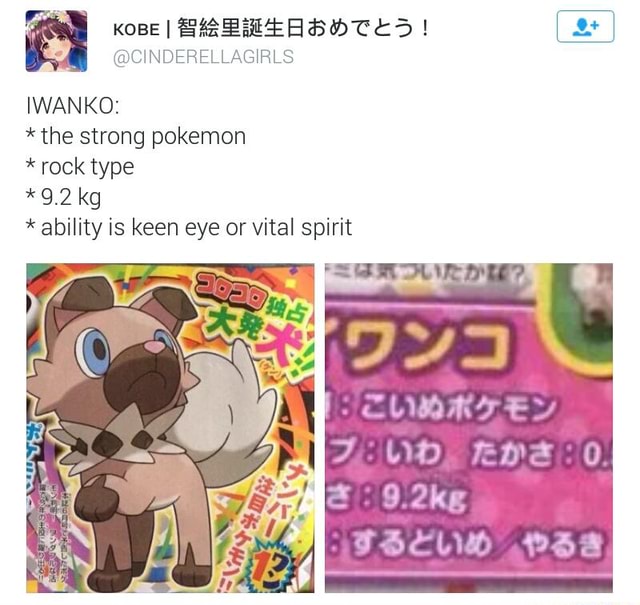 The Strong Pokemon Rock Type Kg Ability Is Keen Eye Or Vital Spirit