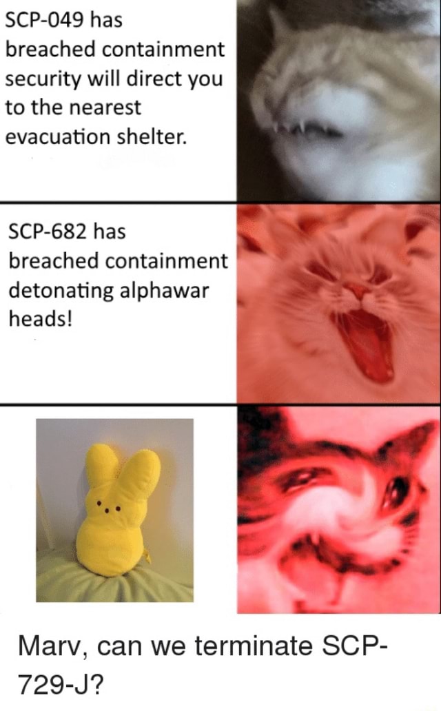 Scp 049 Has Breached Containment Security Will Direct You To The Nearest Evacuation Shelter Scp 6 Has Breached Containment Detonating Alphawar Heads Marv Can We Terminate Scp 729 J Ifunny