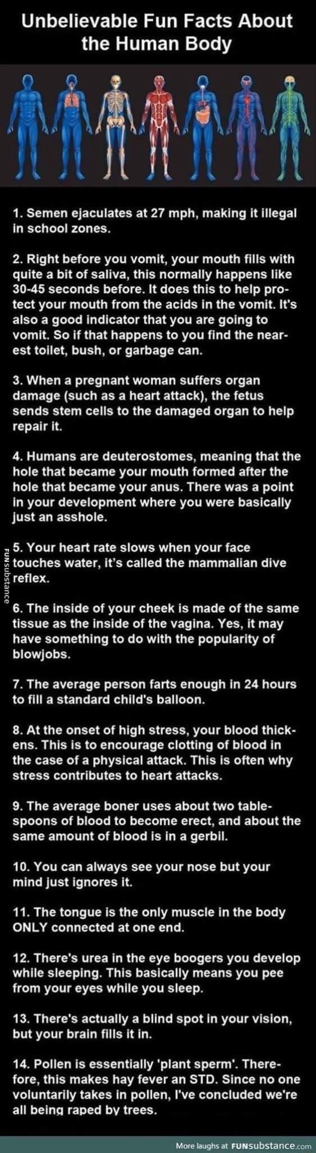 Unbelievable Fun Facts About the Human Body 1. Semen ejaculates at 27