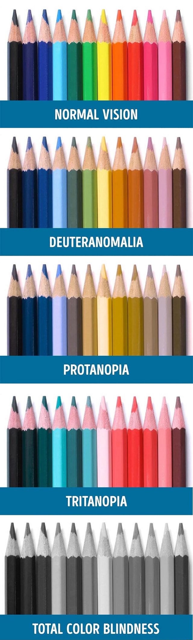 normal-vision-deuteranomalia-protanopia-tritanopia-total-color