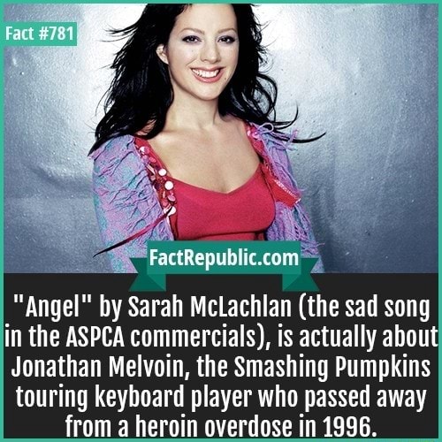 Angel By Sarah Mclachlan The Sad Song In The Aspca Commercials Is Actually Abou Jonathan Melvoin The Smashing Pumpkins Touring Keyboard Player Who Passed Away From A Heroin Overdose In 1996