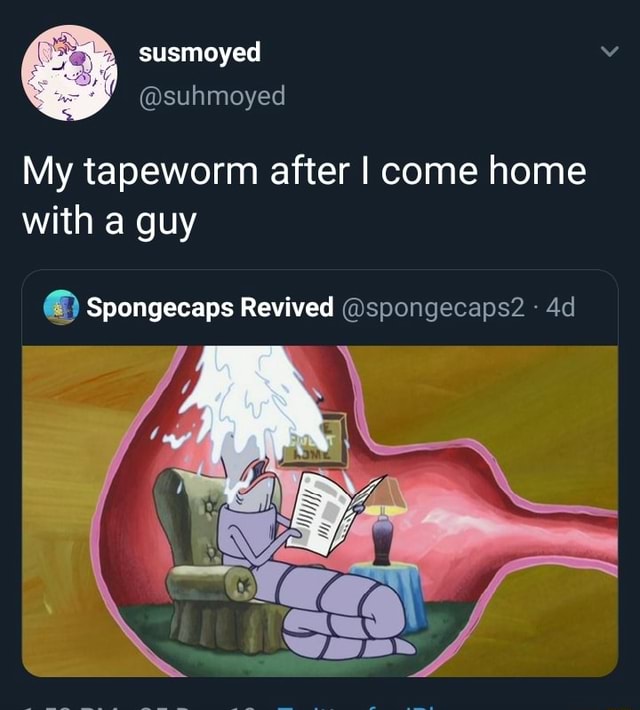 My tapeworm after I come home with a guy (3) Spongecaps Revived