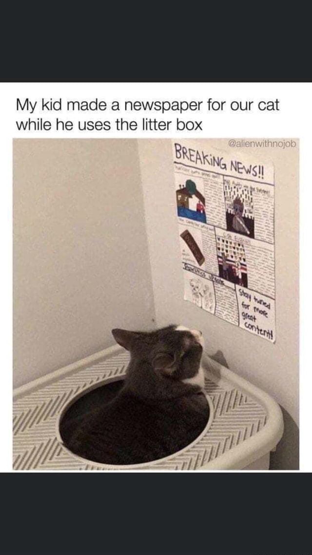 My kid made a newspaper for our cat while he uses the litter box Be WHLSM