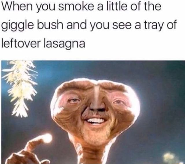 When you smoke a little of the giggle bush and you see a tray of ...