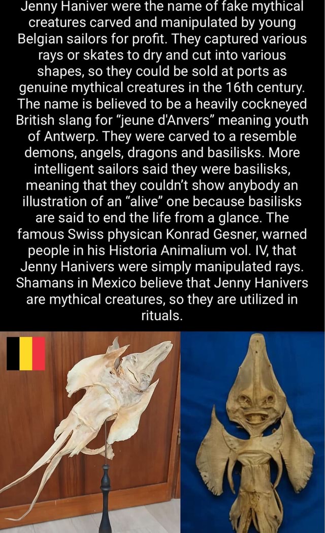 Slangs Creature Jenny Haniver were the name of fake mythical creatures carved and ...