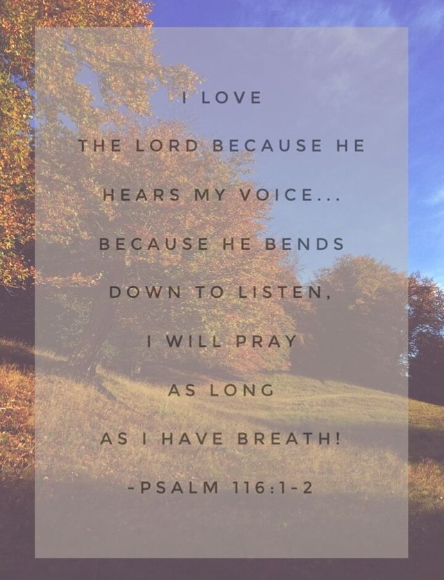 I Love The Lord Because He Hears My Voice Because He Bends Down To