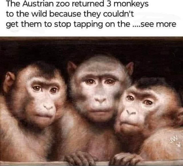 The Austrian zoo returned 3 monkeys to the wild because they couldn't ...