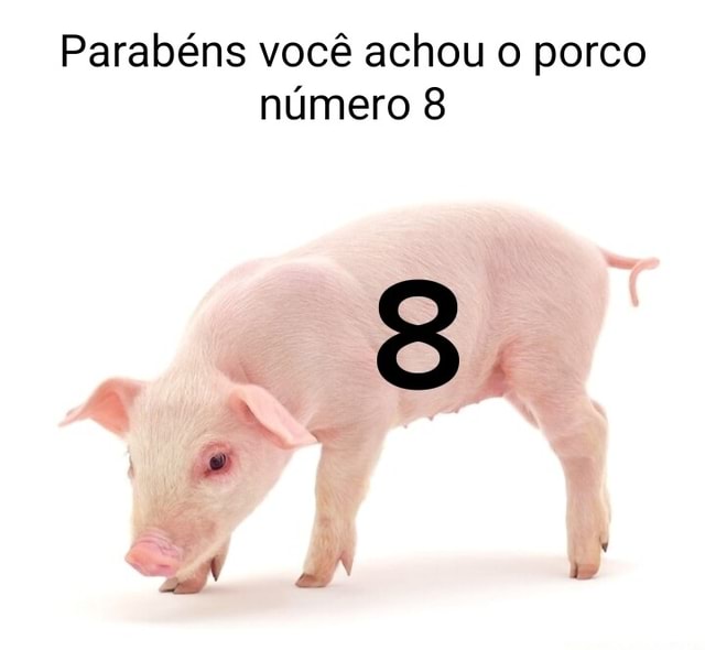 Parabéns Você encontrou 0 John Pork porco número 69 - iFunny Brazil