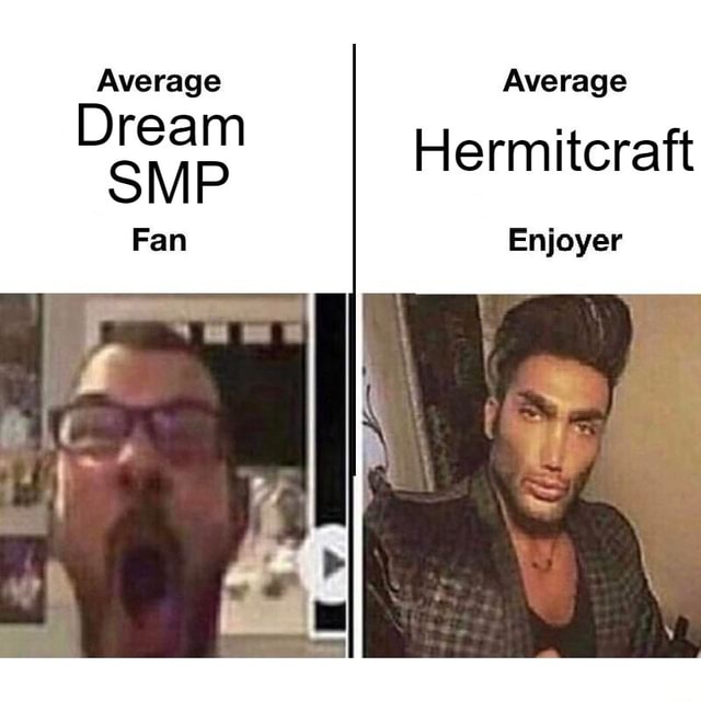 Average Average Dream Hermitcraft Fan Enjoyer - iFunny