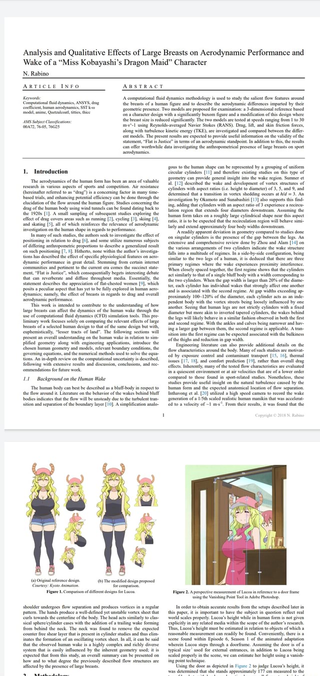 Analysis and Qualitative Effects of Large Breasts on Aerodynamic