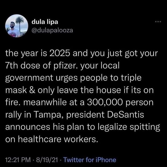 Dula lipa @dulapalooza the year is 2025 and you just got your dose of ...