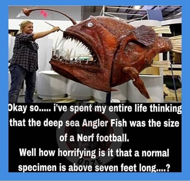 that-the-deep-sea-angler-fish-was-the-size-of-a-nerf-football-well-how