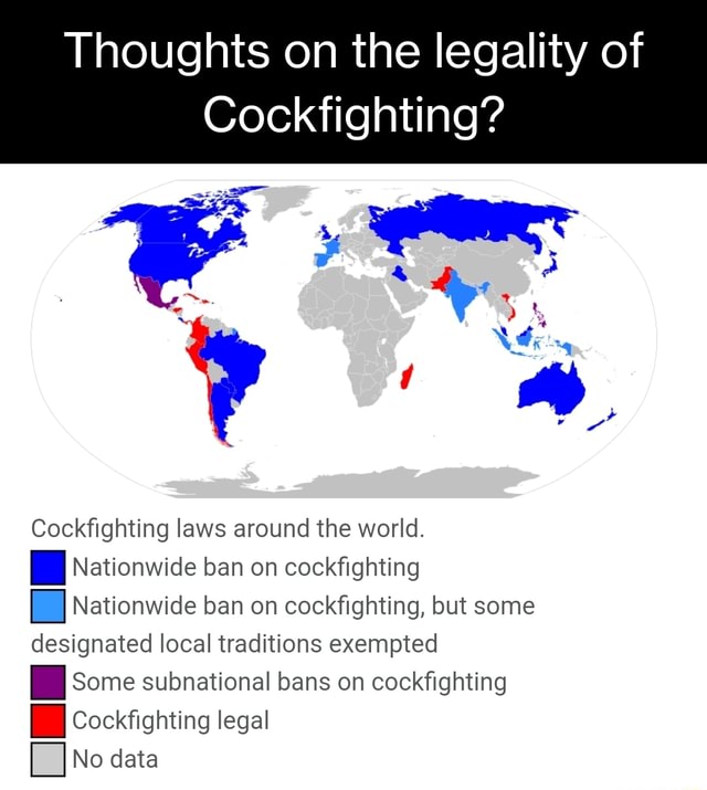 Thoughts On The Legality Of Cockfighting? Cockfighting Laws Around The ...