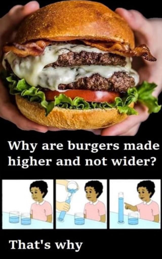 at-na-why-are-burgers-made-higher-and-not-wider-that-s-why-ifunny