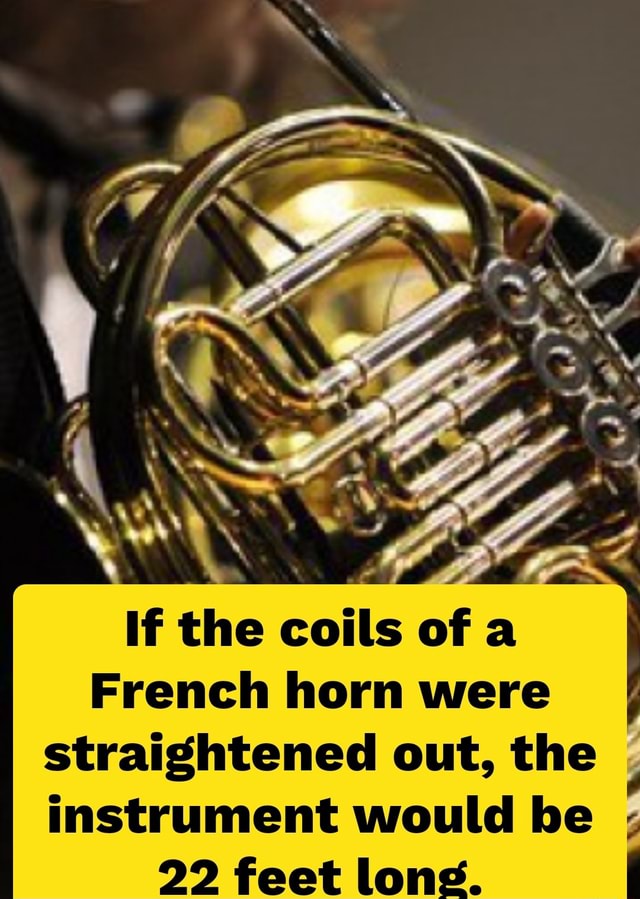 If the coils of a French horn were ' straightened out, the . instrument
