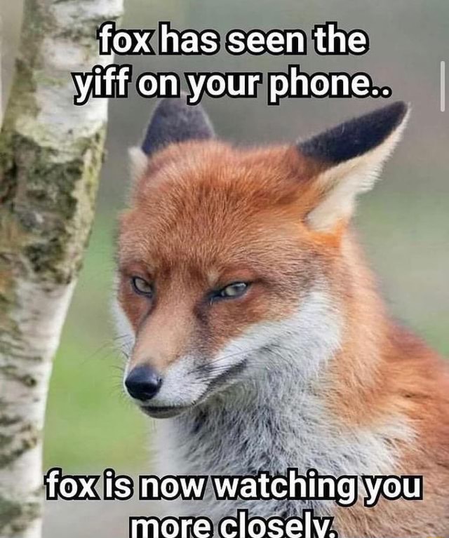 Every time I see Moto Moto I - Dank Fox Yiffs Your Memes