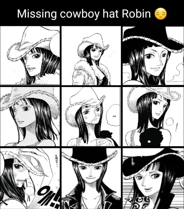 Everyone always talks about Robin's skin color change, but I just miss her  sweet cowboy hat : r/MemePiece