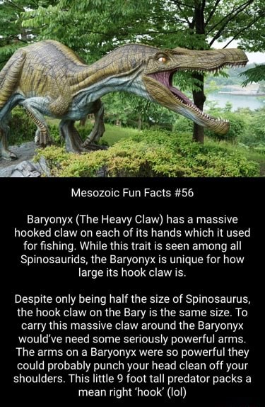 Mesozoic Fun Facts #56 Baryonyx (the Heavy Claw) Has A Massive Hooked 