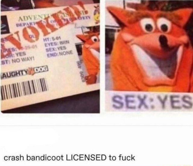 Sex Yes Crash Bandicoot Licensed To Fuck Ifunny 8422