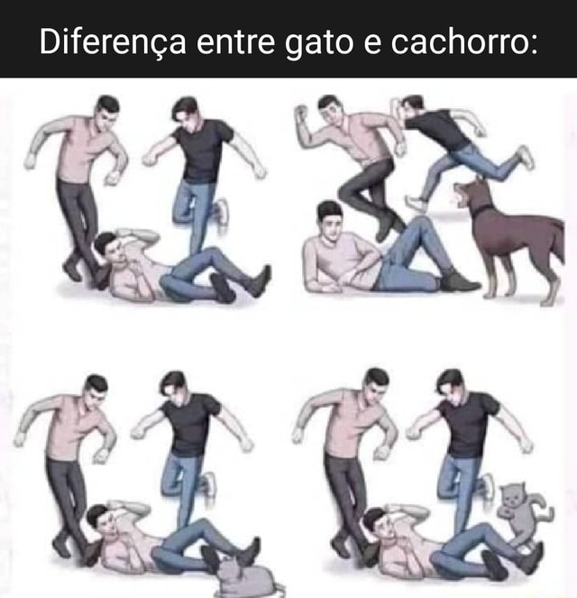 Diferença Entre Gato E Cachorro Ifunny Brazil 0580