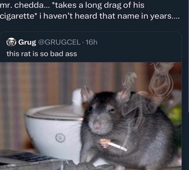 Mr. chedda... *takes a long drag of his cigarette* i haven't heard that  name in years.... Grug @GRUGCEL- this rat is so bad ass