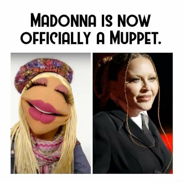 MADONNA IS NOW OFFICIALLY MUPPET. - iFunny