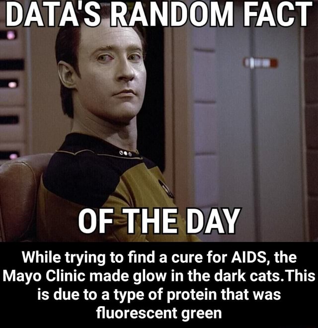 OF THE DAY While trying to find a cure for AIDS, the Mayo Clinic made