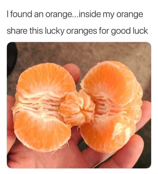 Ifound an orange...inside my orange share this lucky oranges for good