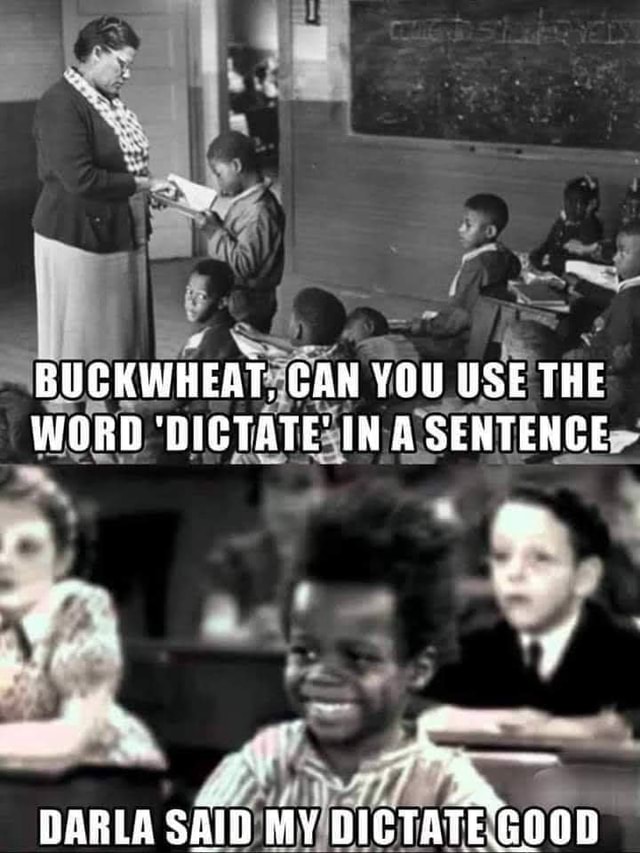 buckwheat-can-vi-you-use-the-word-dictate-in-a-sentence-ff-darla