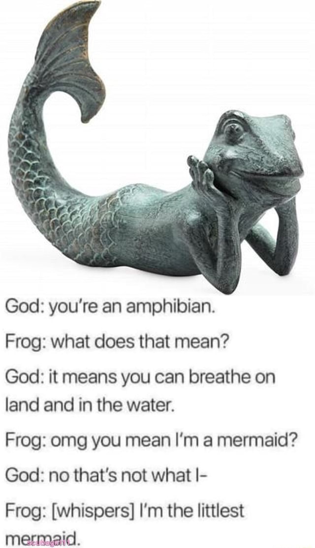 God: you're an amphibian. Frog: what does that mean? God: it means you