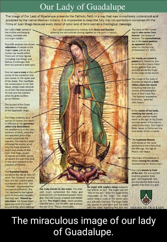 Our Lady of Guadalupe The Image of Our Lady of Guadalupe presents the