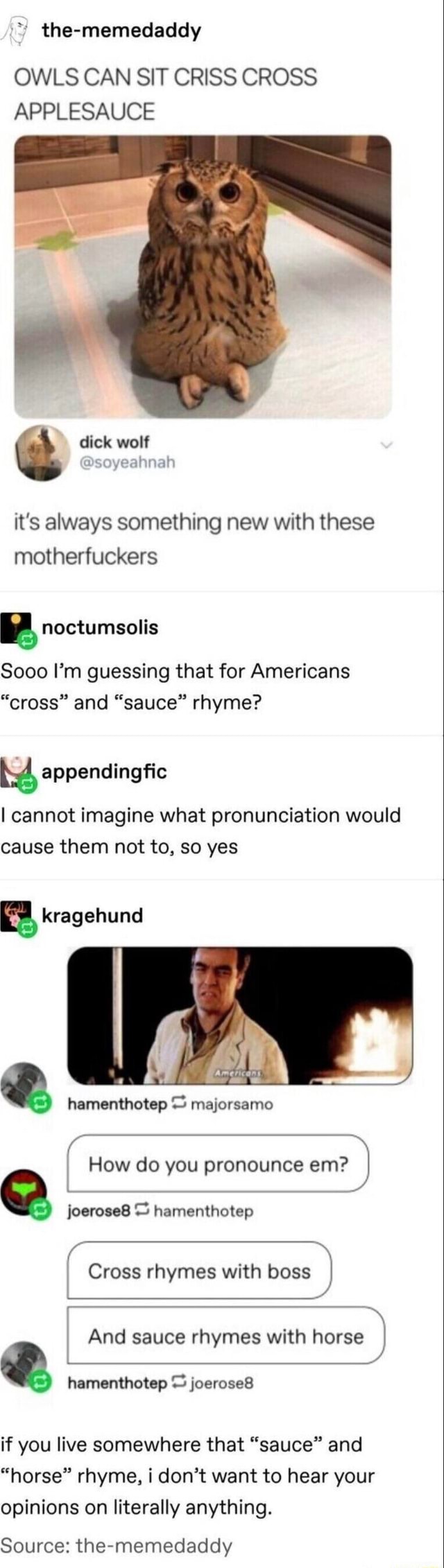 Thememedaddy OWLS CAN SIT CRISS CROSS APPLESAUCE dick wolf Dsoyeahnat