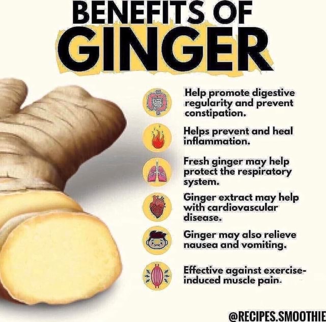 BENEFITS OF GINGER Help and digestive regularity and prevent