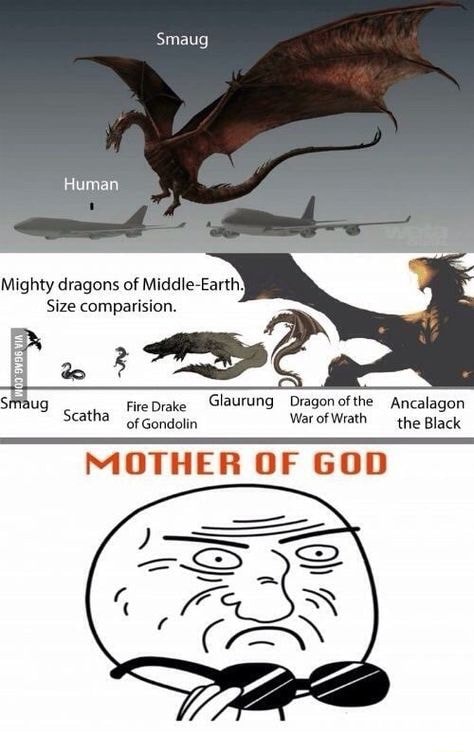 Smaug Mighty dragons of Middle-Earth: Size comparision. fe Drake GlaUTUNG  Dragon the Ancalagon of Gondolin War of Wrath the Black MOTHER OF GOD -  iFunny