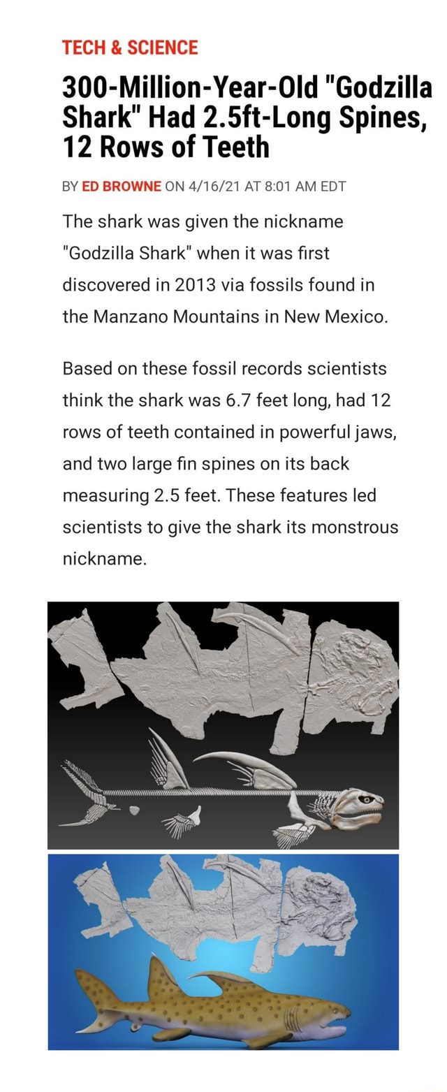 TECH & SCIENCE 300-Million-Year-Old 