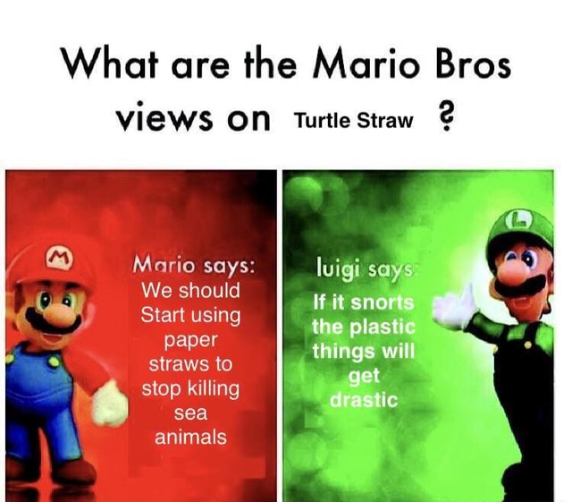 What are the Mario Bros VIEWS ON Turtle Straw 2 a Mario says We should